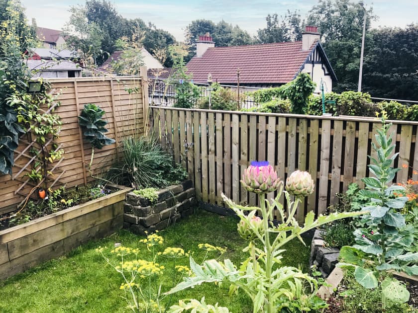 Garden | The Wee Pad - The Wee Places, Dunfermline