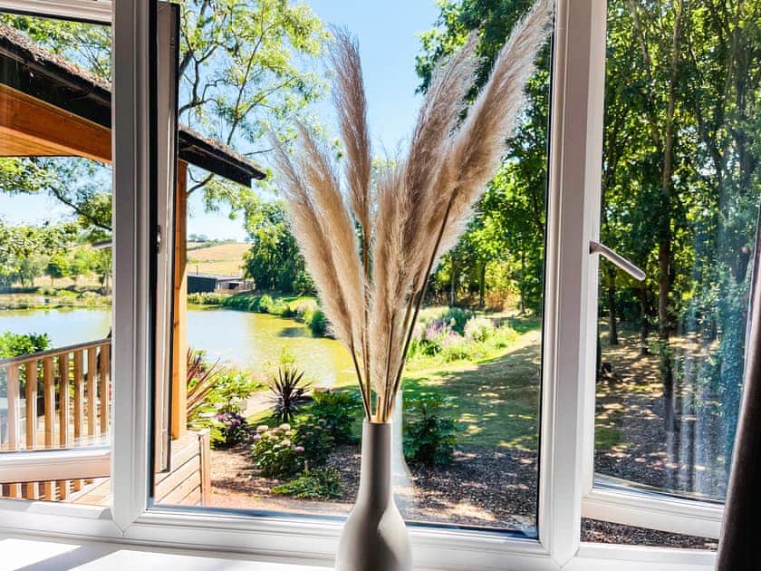 View | Willow Lodge - South View Lodges, Exeter