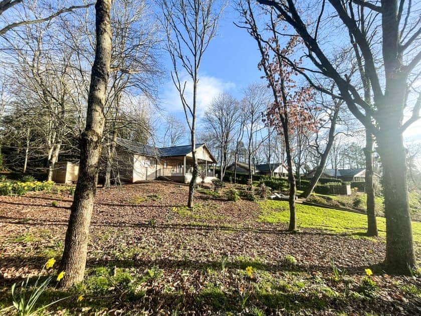 Setting | Willow Lodge - South View Lodges, Exeter