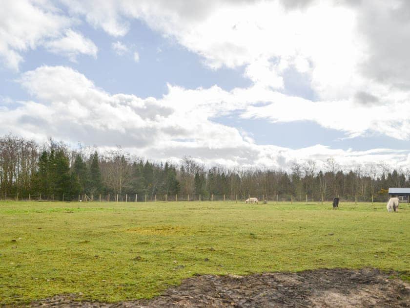 View | Old Colliery Cottage, Shilbottle, near Alnwick