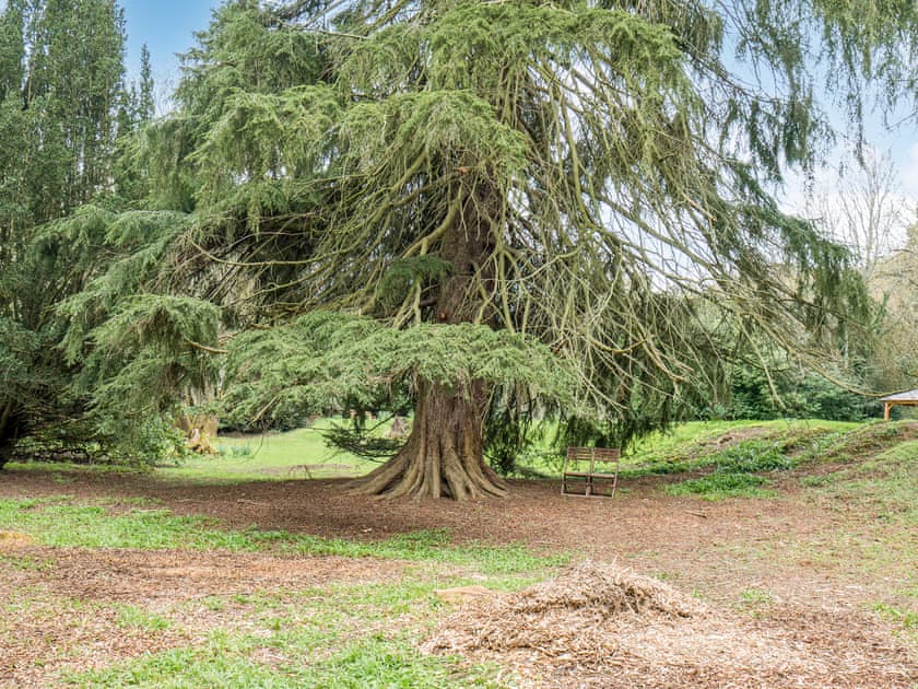 Garden and grounds | Copper Beech Cabin - Punch Tree Cabins, Carluke
