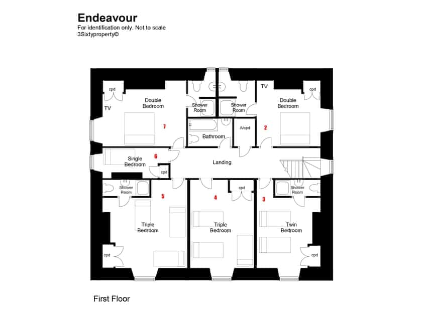 Floor plan | Ashcombe - Endeavour - Ashcombe , Ashcombe, near Teignmouth