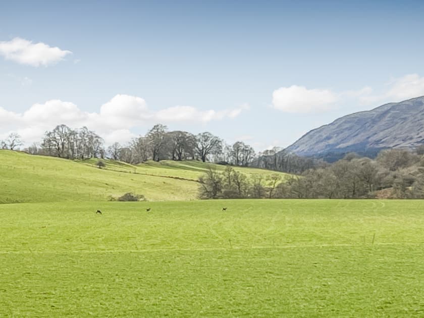 View | Gean Cottage, Rumbling Bridge, near Kinross