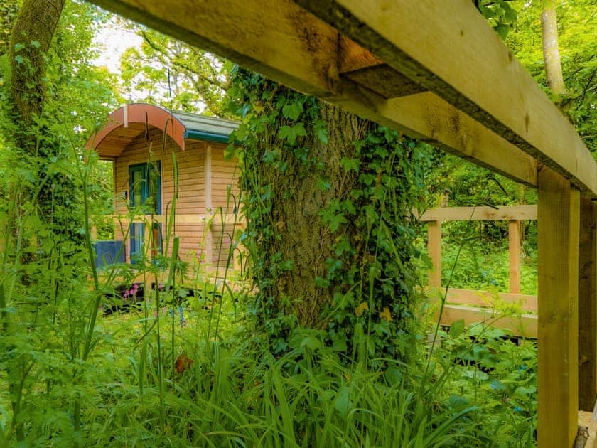 Outdoor area | Woodpecker - Treglisson Pods, Hayle