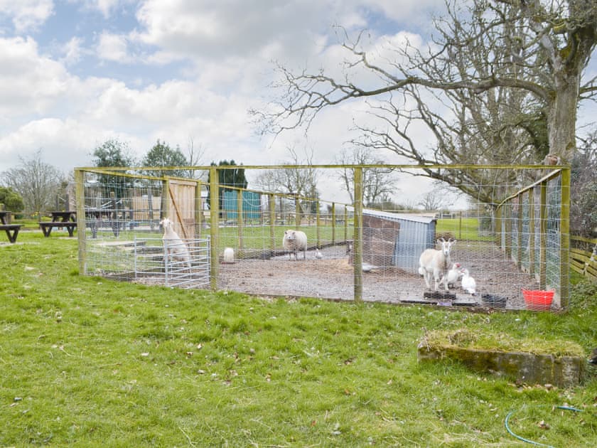 Garden and grounds | The Coach House - Blaithwaite Estate, Waverton, near Wigton