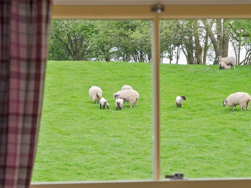 Double bedroom | Spring Cottage - Helm Mount Barns, Barrows Green, near Kendal