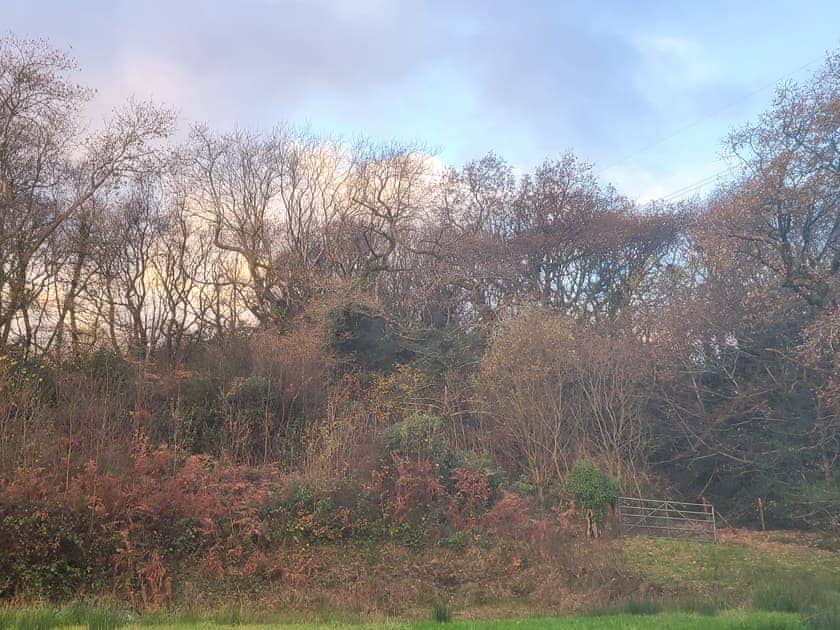 Garden view | Wernddu Fechan House - Wernddu Properties, Neath