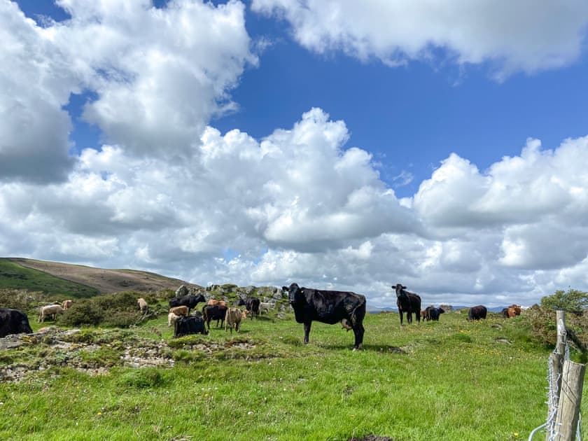Surrounding area | Coal Yeat Cottages -Yan Cottage - Coal Yeat Cottages , Broughton Beck