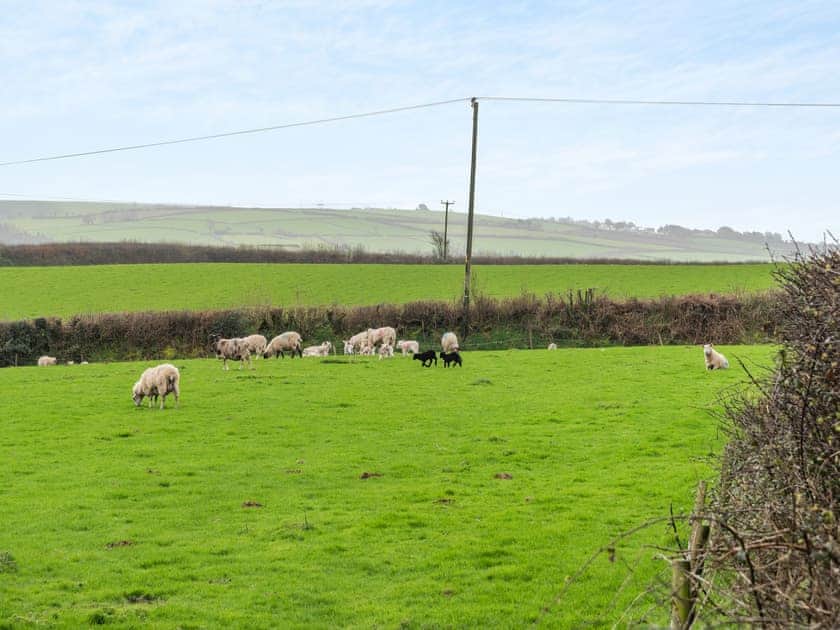 Surrounding area | The Granary, Shirwell, near Barnstaple