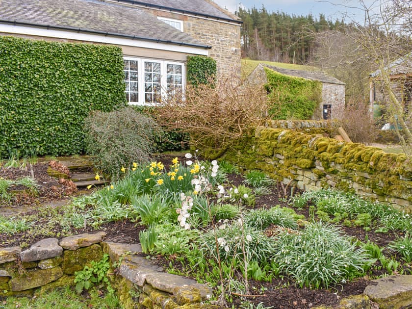 Garden | Black Bank House, Sinderhope, near Allendale