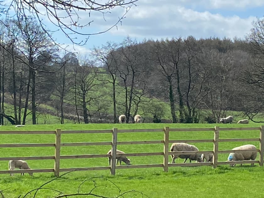 Rear garden view | Stone Cottage, Wingerworth