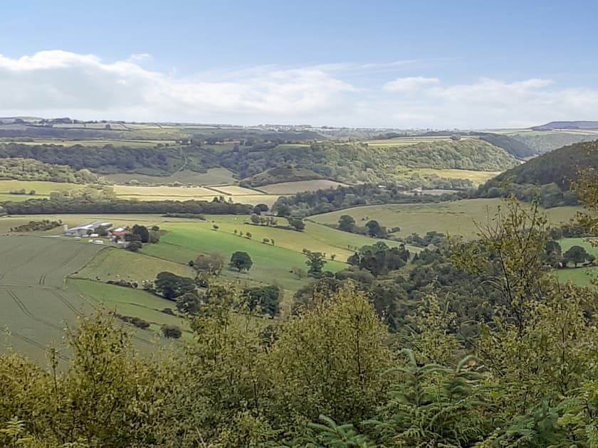 Surrounding area | Barnscliff Heights, Broxa, near Scarborough