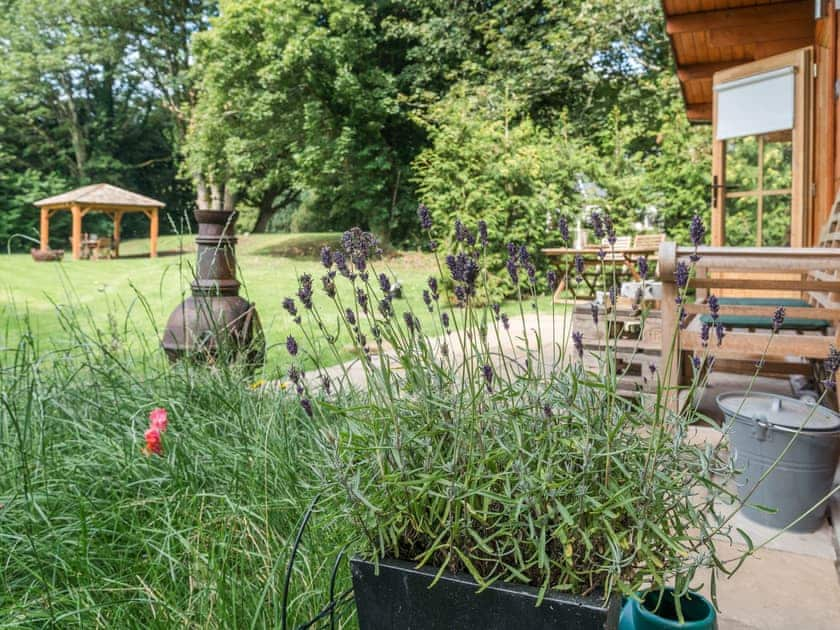 Outdoor area | Punch Tree Lodge - Punch Tree Cabins, Carluke