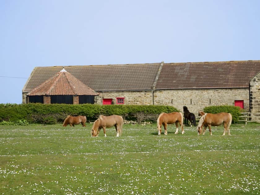 Surrounding area | Brier Dene Middle Cottage - Brier Dene Farm Cottages, Old Hartley, near Whitley Bay 