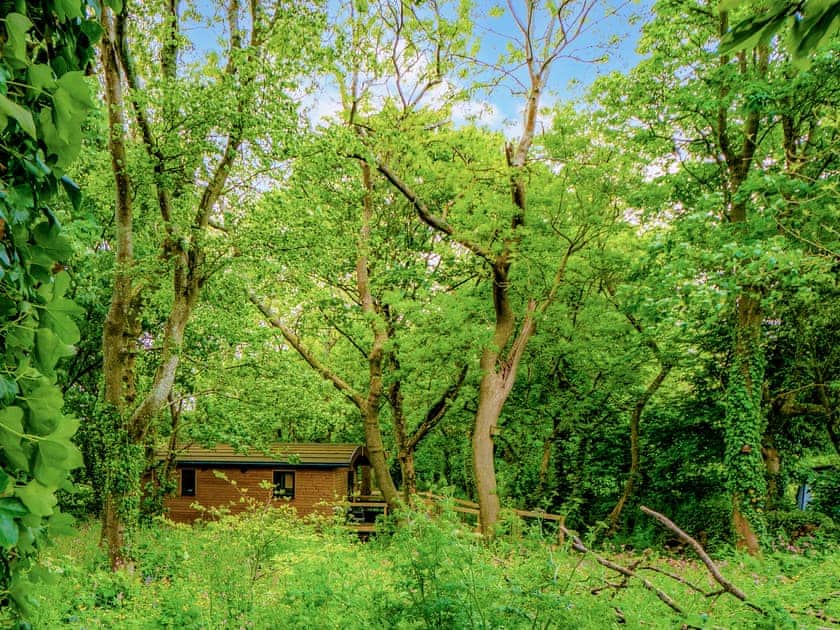 Exterior | Owl - Treglisson Pods, Hayle