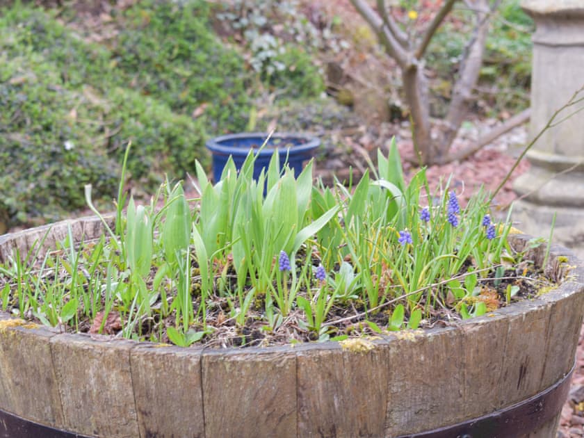 Garden | The Shieling, Biggar