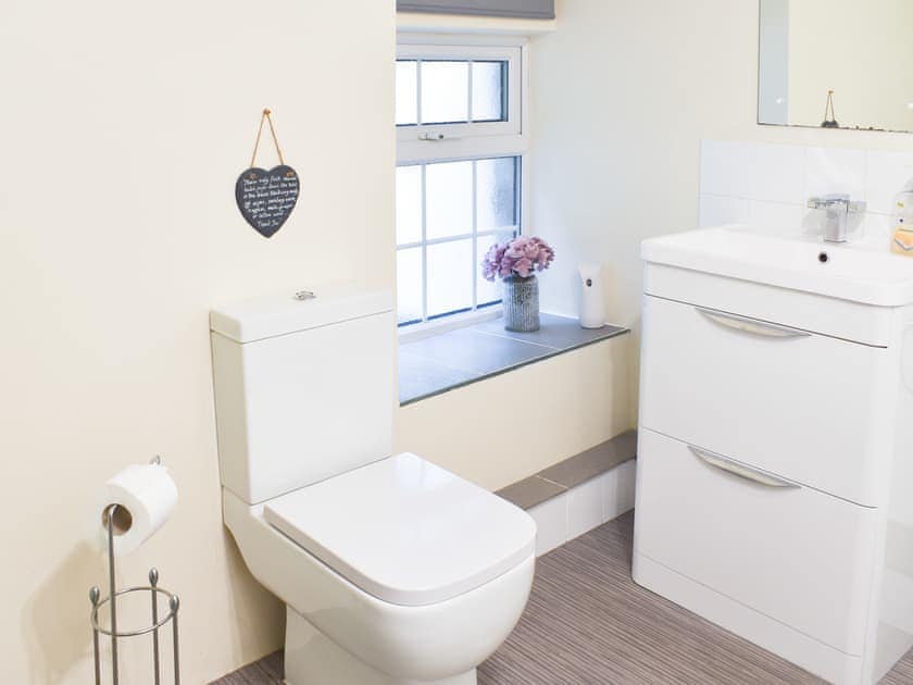 Shower room | Aran - Red Dragon Cottages, Beddgelert