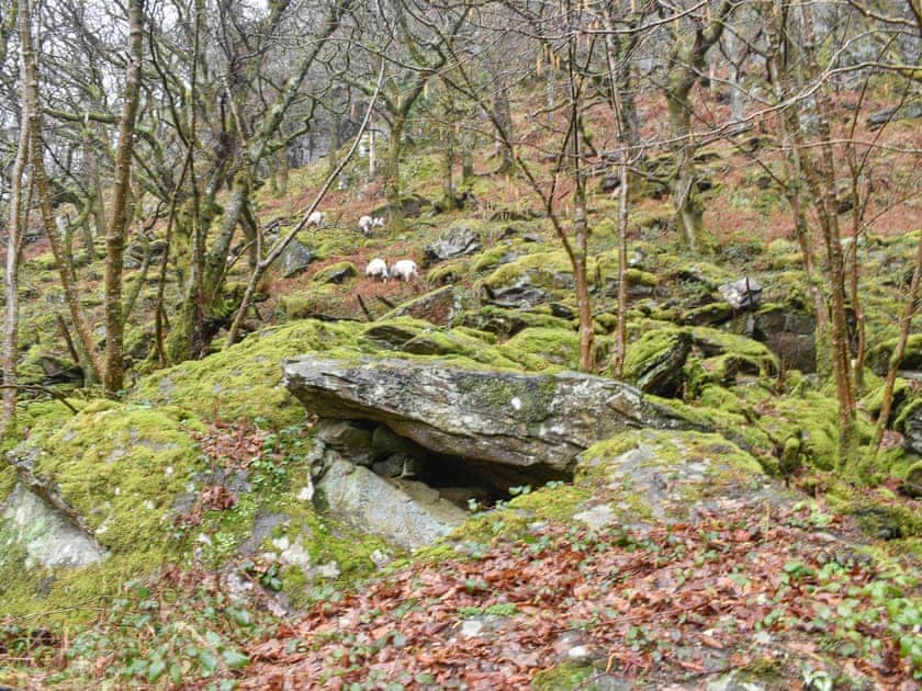 Setting | Snowdon - Red Dragon Cottages, Beddgelert