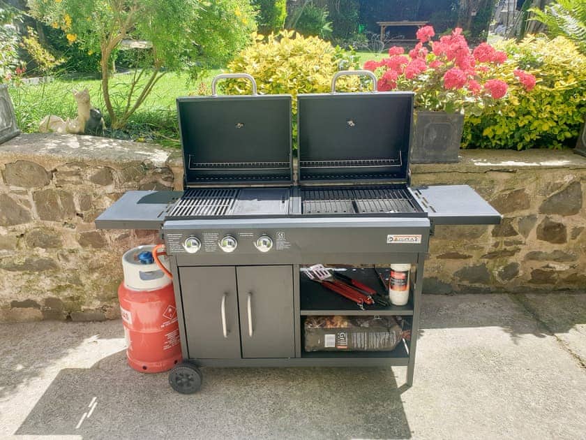 Dual fuel bbq | Awel-Y-Mor, Aberaeron