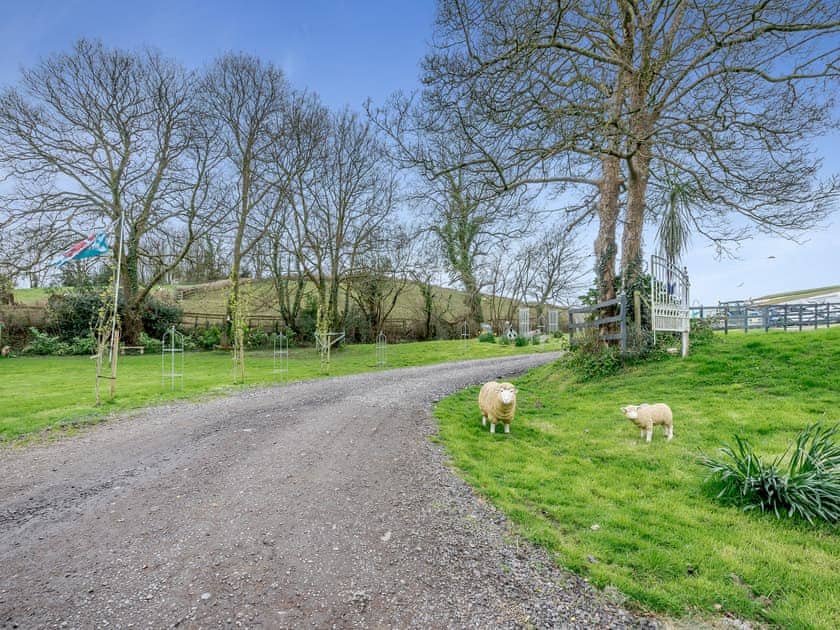Garden and grounds | Ty Cae Mawr - Cefn Gorwydd Cottages, Gowerton, Gower