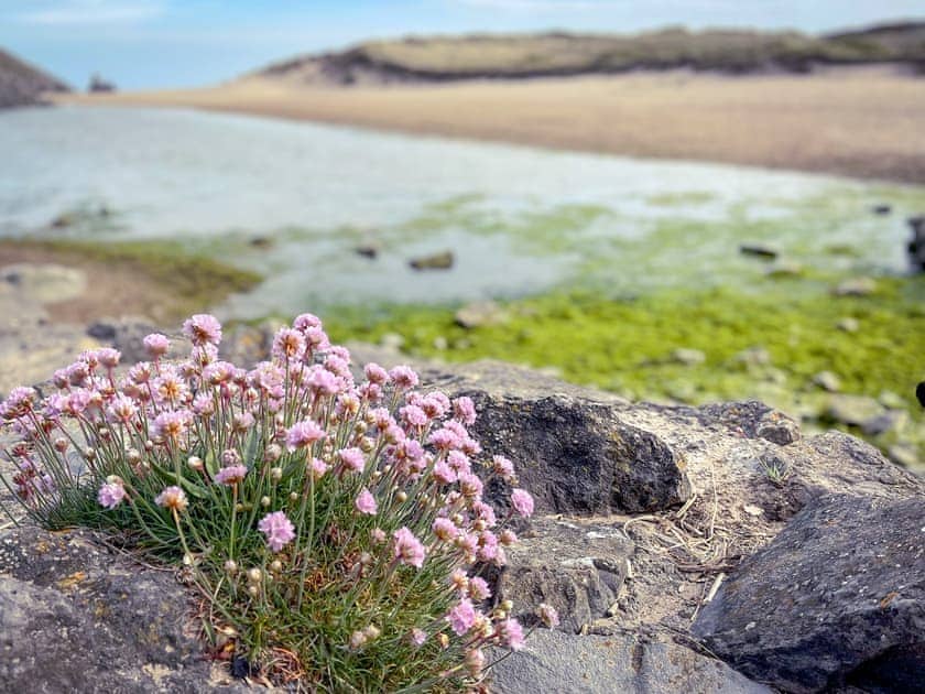 Appealing local beach | The Last Barn, Valast Hill, near Stackpole