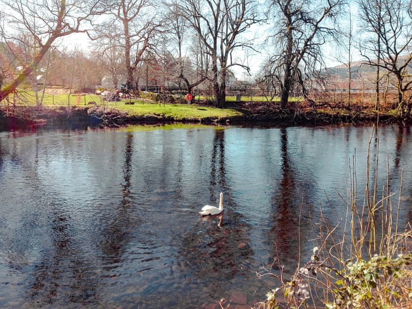 View | Teithbank, Callander