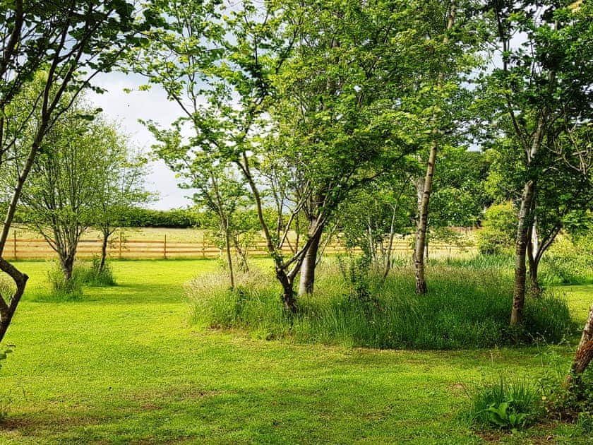 Setting | Birch Studio, Willow Studio, Blackthorn Studio - Marcassie Farm Lodges, Forres