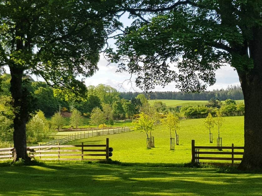 Setting | Hazel Studio - Marcassie Farm Lodges, Forres