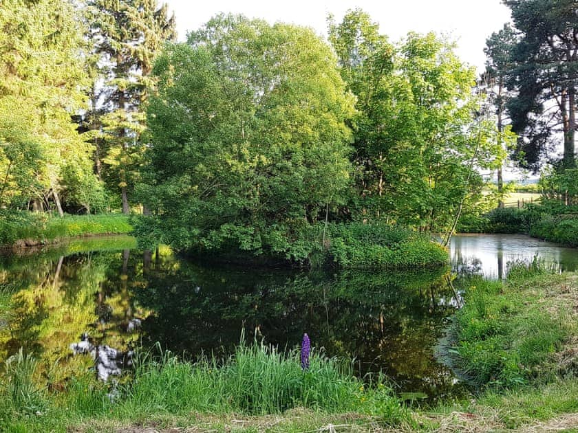 Setting | Blackthorn Studio, Ash Studio - Marcassie Farm Lodges, Forres