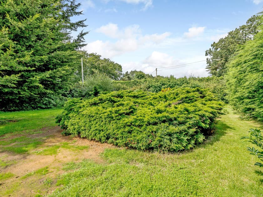 Garden | Fred’s Barn, Westwick