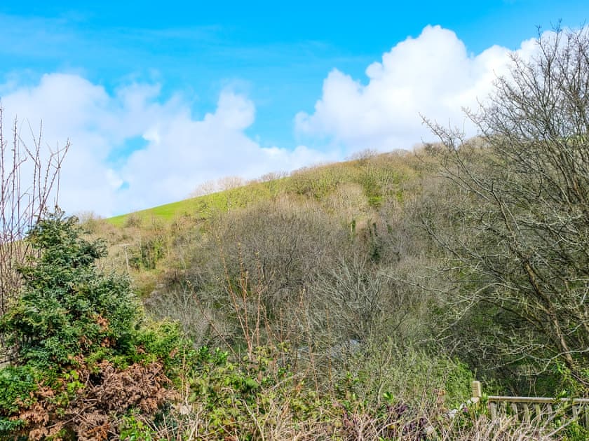 View from Decking  | Ivy Cottage, Boscastle