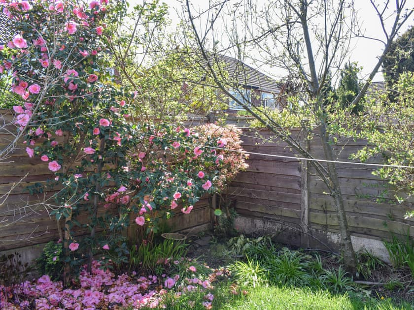 Garden | Luke House, Droylsden