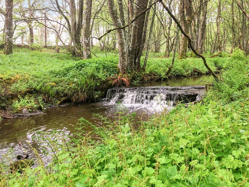 Woodland walks, accessible from the cottage | The Gate Lodge, Latheron, near Wick