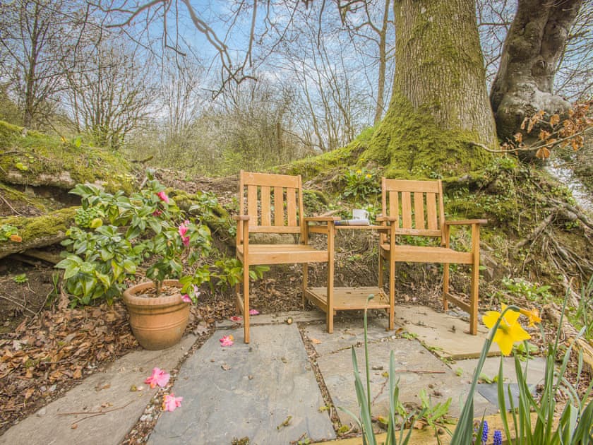 Garden | Olive Barn, Rackenford, near Tiverton