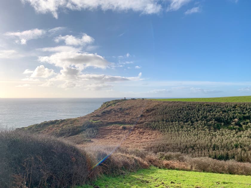 Newlyn | The Basket Loft, Newlyn