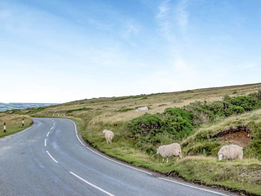 Surrounding area | Preselli View Cottage - Coastal View Cottages, Ludchurch, near Narberth