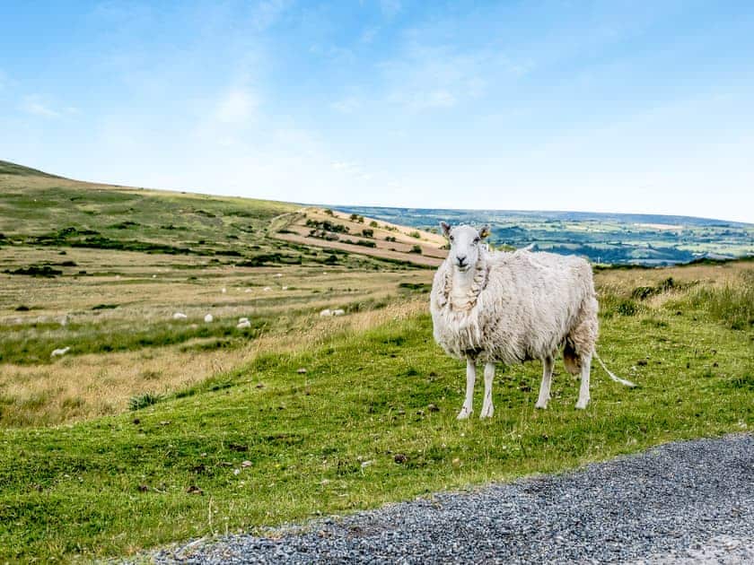 Surrounding area | Preselli View Cottage - Coastal View Cottages, Ludchurch, near Narberth