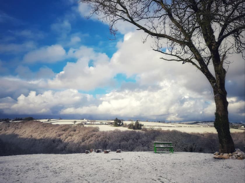 Garden and grounds | Golwg y Cwm, Cilrhedyn, near Newcastle Emlyn