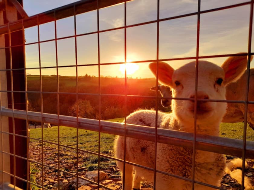 Surrounding area | Golwg y Cwm, Cilrhedyn, near Newcastle Emlyn