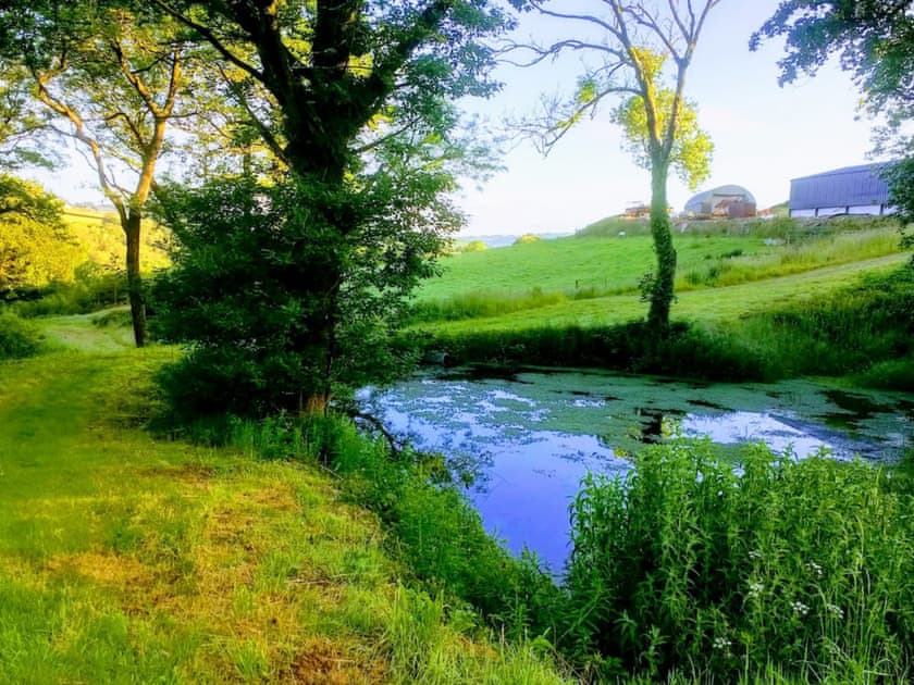 Surrounding area | Golwg y Cwm, Cilrhedyn, near Newcastle Emlyn