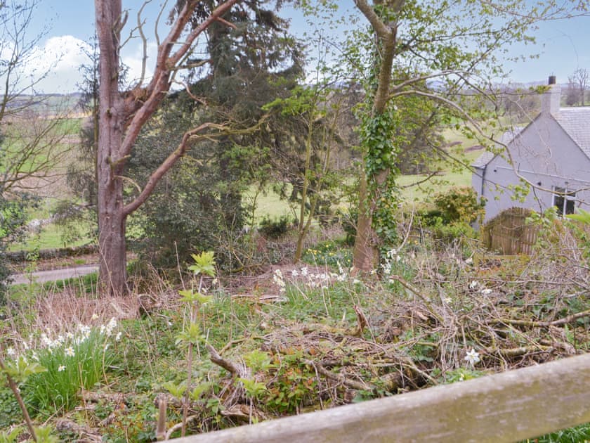 View | Maisie’s Cottage, North Middleton, near Wooler