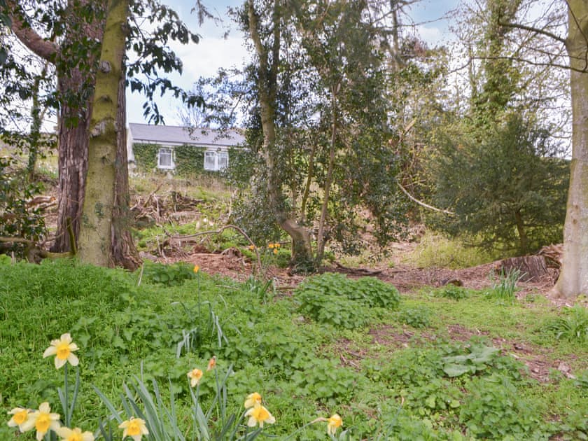 Setting | Maisie’s Cottage, North Middleton, near Wooler