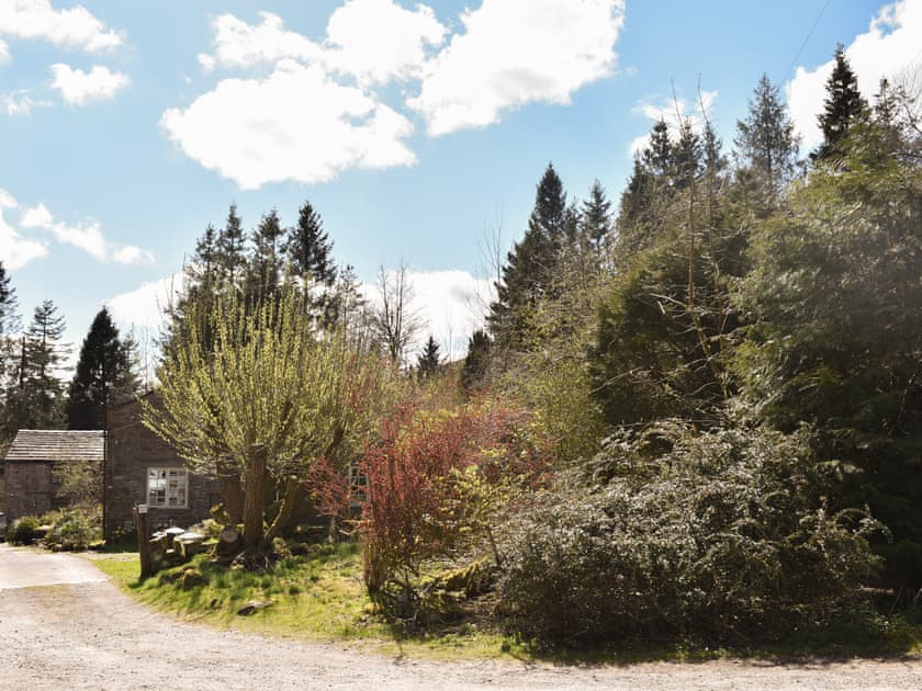 Setting | Red Squirrel Haven, Snaizeholme, near Hawes