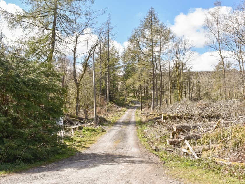 Driveway | Red Squirrel Haven, Snaizeholme, near Hawes