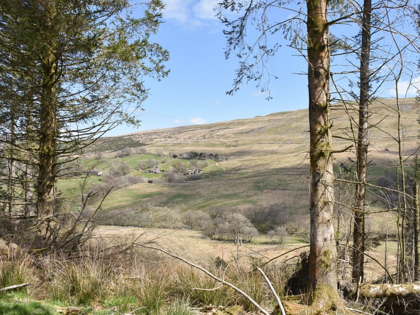 View | Red Squirrel Haven, Snaizeholme, near Hawes