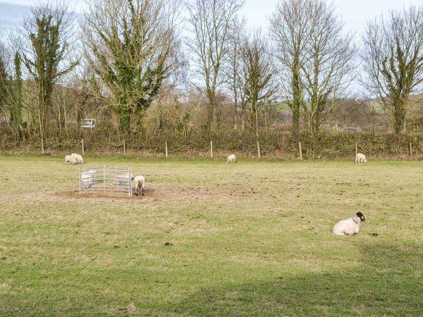 Surrounding area | Hillview, Millness, near Crooklands