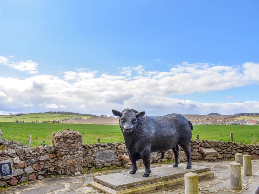 Garden and grounds | Haughton Holidays, Huntly