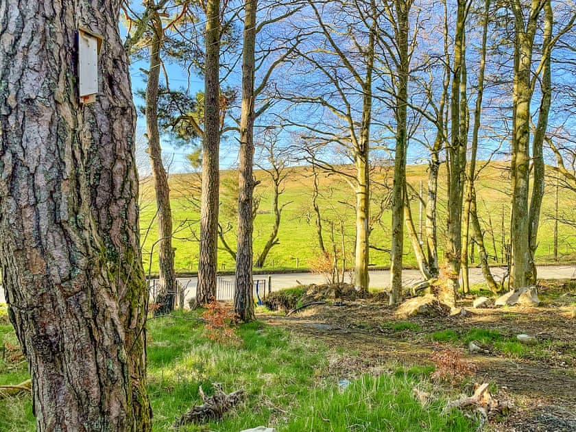 Setting | Gardeners Cottage, Huntly
