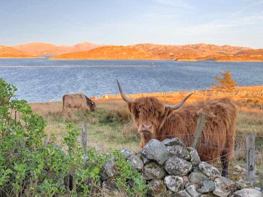 View from the garden | Taigh Na Beadan, Isle of Lewis