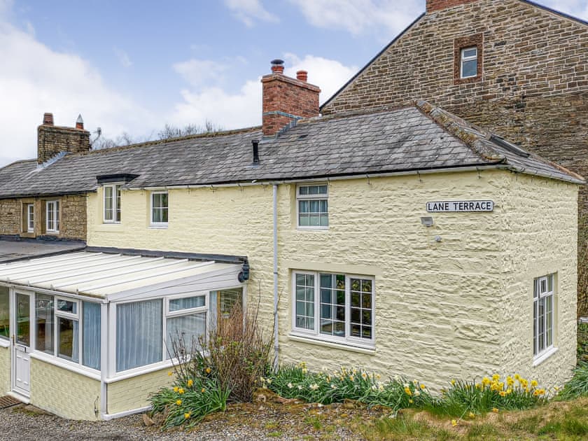 Exterior | Daffodils, Haltwhistle